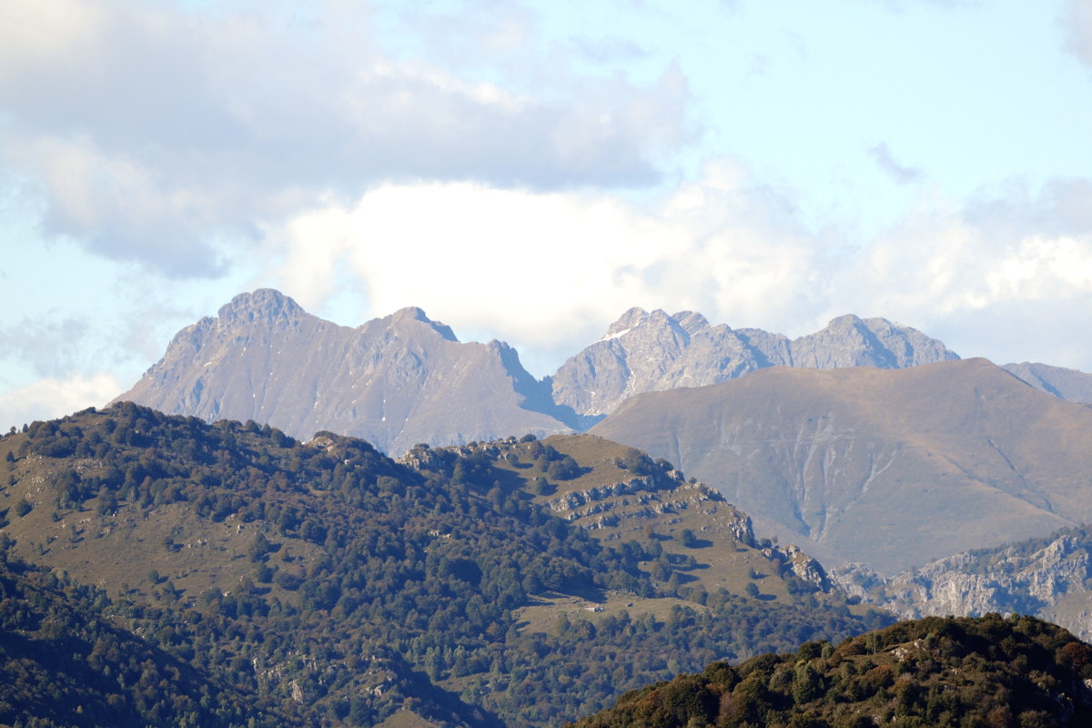 Aiuto riconoscimento Orobie, Prealpi bergamasche e bresciane